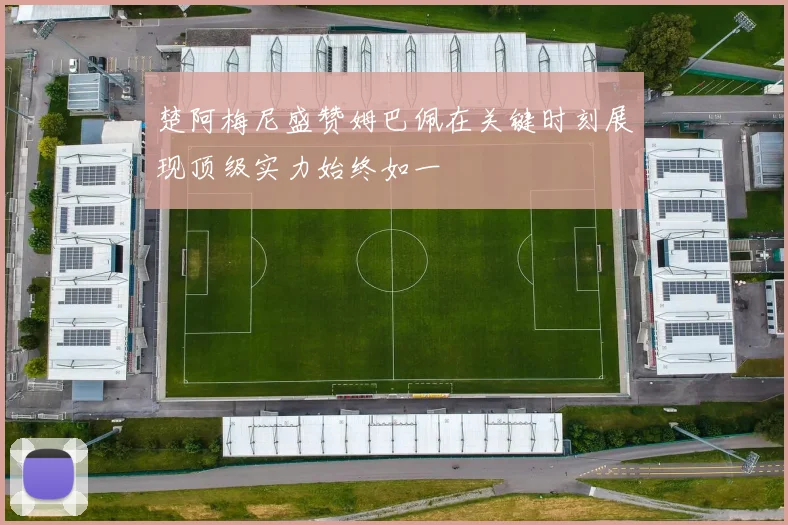楚阿梅尼盛赞姆巴佩在关键时刻展现顶级实力始终如一