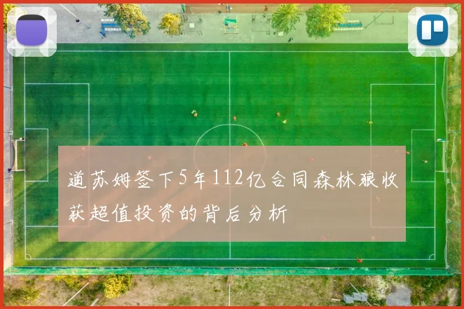道苏姆签下5年112亿合同森林狼收获超值投资的背后分析
